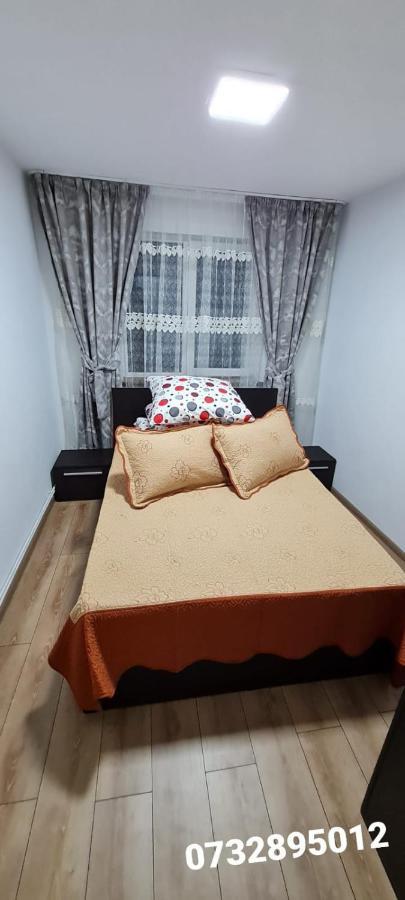 Apartament Bianca Câmpulung Moldovenesc Exterior foto